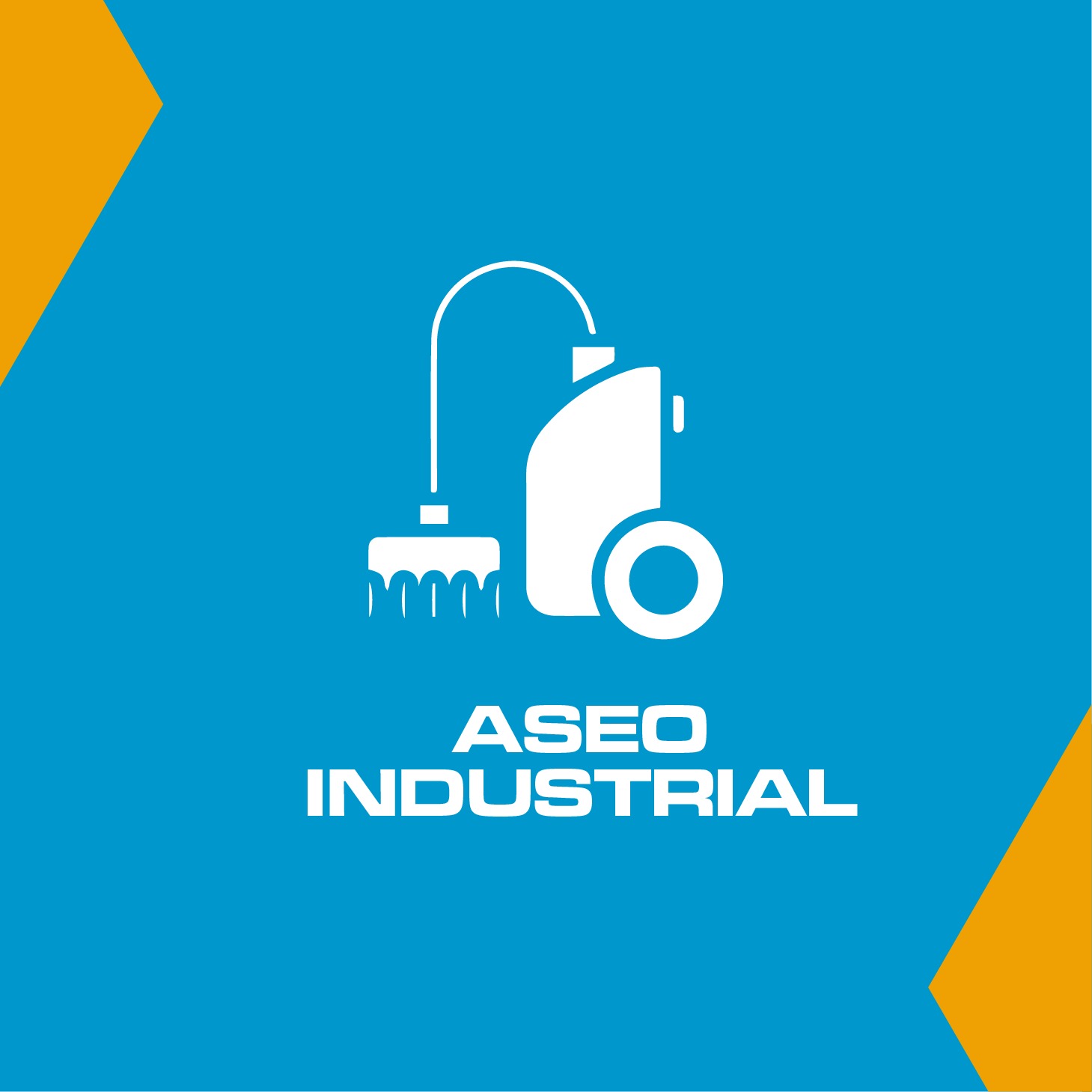 ASEO INDUSTRIAL